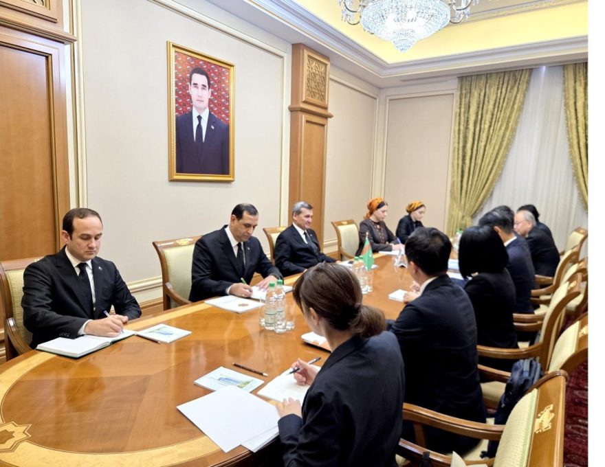 Meeting of the Minister of Foreign Affairs of Turkmenistan with the State Minister of Economy, Trad…
