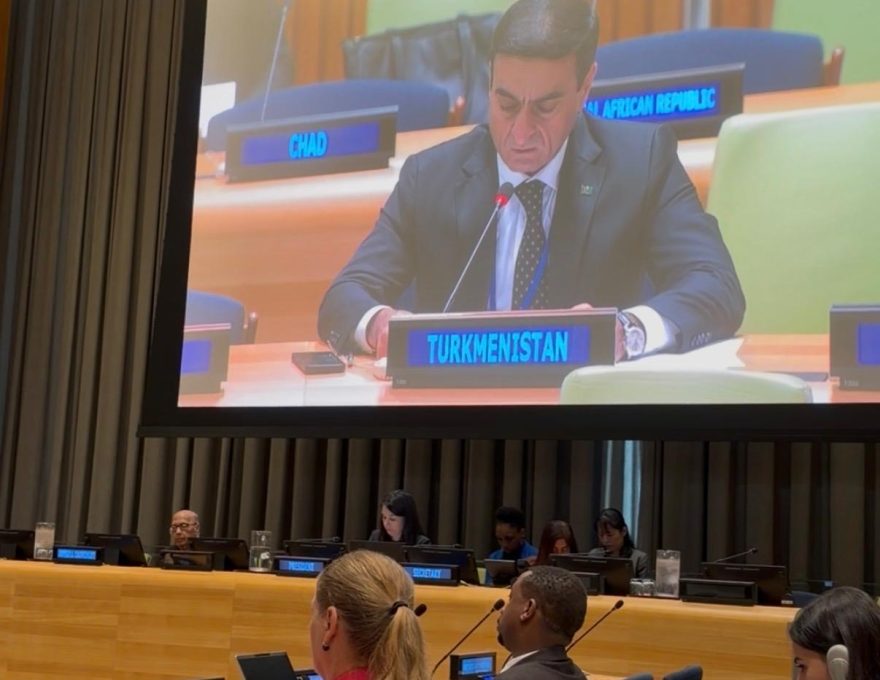 Turkmenistan Presents the Position of the Group of Friends of Neutrality at the UN High-level Forum…